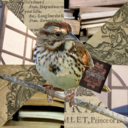 shakespeareobsessedsparrow avatar