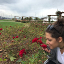 shakeyourbooty avatar