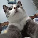 shaking-the-hand-of-doubt avatar