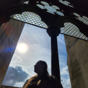 shaleereadsswiftly avatar