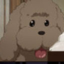 shallweskate-exchange-blog avatar