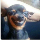 shameless-side-blog avatar