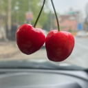 shamelesskittens-stuff avatar