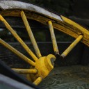 shamelessly-reading avatar