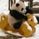 shamelessmudfish avatar