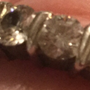 shamelessnewlife-blog avatar