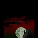 shamelessscissorsstudentturkey avatar