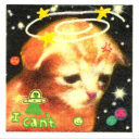 shamrock-kitty avatar