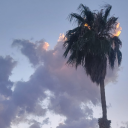 shanedoesstuff avatar