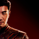 shangchidaily avatar