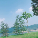 shangxingyue-blog avatar