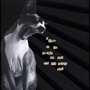 shanicejacksonellison avatar