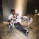 shaniceworld2012 avatar