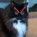 shannontheapostate avatar