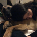 shape-shifterss avatar