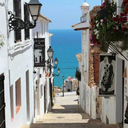 shapeofmyheart31 avatar