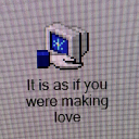 shapeshifting-bunny avatar