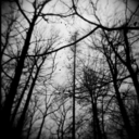 shards-of-my-soul avatar