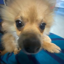 shards-ofglass avatar