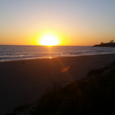 shardsofthesun avatar