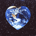 share-the-earth-blog avatar