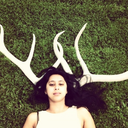 sharedxdreams-blog avatar