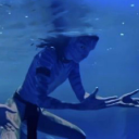 shareesebabygurl avatar