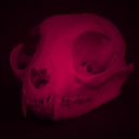 sharethispoison1987-blog avatar