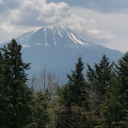 shareyourpleasure avatar