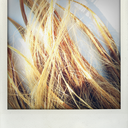 sharing-thesun avatar