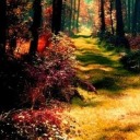 sharinghopesanddreams avatar