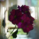 sharingsomethings avatar