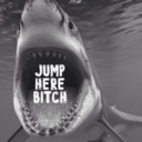 shark-attaks avatar