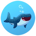 shark-feeder-archive-dont-follow avatar