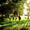 shark-fin-blues-blog avatar