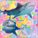 shark-gummies avatar