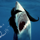 shark-rawr avatar