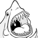 sharkandfriends avatar