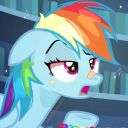 sharkbait-huhaha avatar