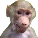 sharkbaitxoxo avatar