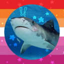 sharkbitesthings avatar