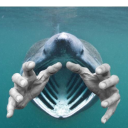 sharkboy-starmites avatar