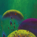 sharkboyardee avatar