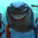 sharkdefenderactivist avatar