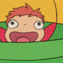 sharkenthusiast avatar