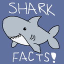 sharkfactoftheday avatar