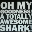 sharkingandcrying avatar