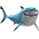 sharklovers-blog avatar