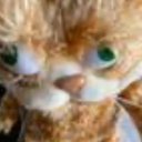 sharkostuff82 avatar