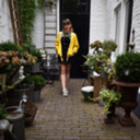 sharkprincess avatar